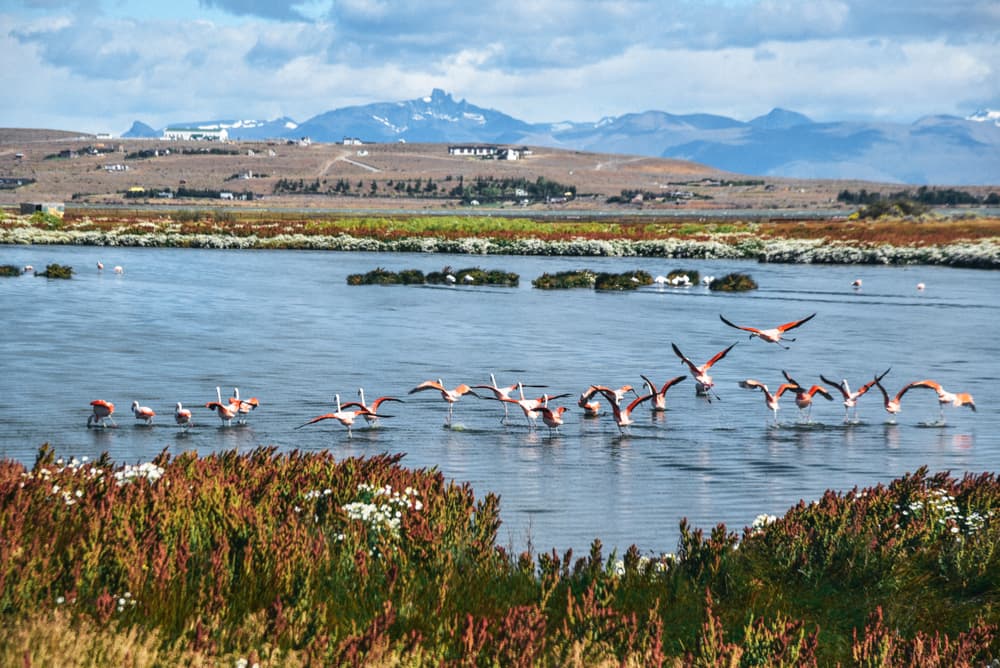 El Calafate e i ghiacciai