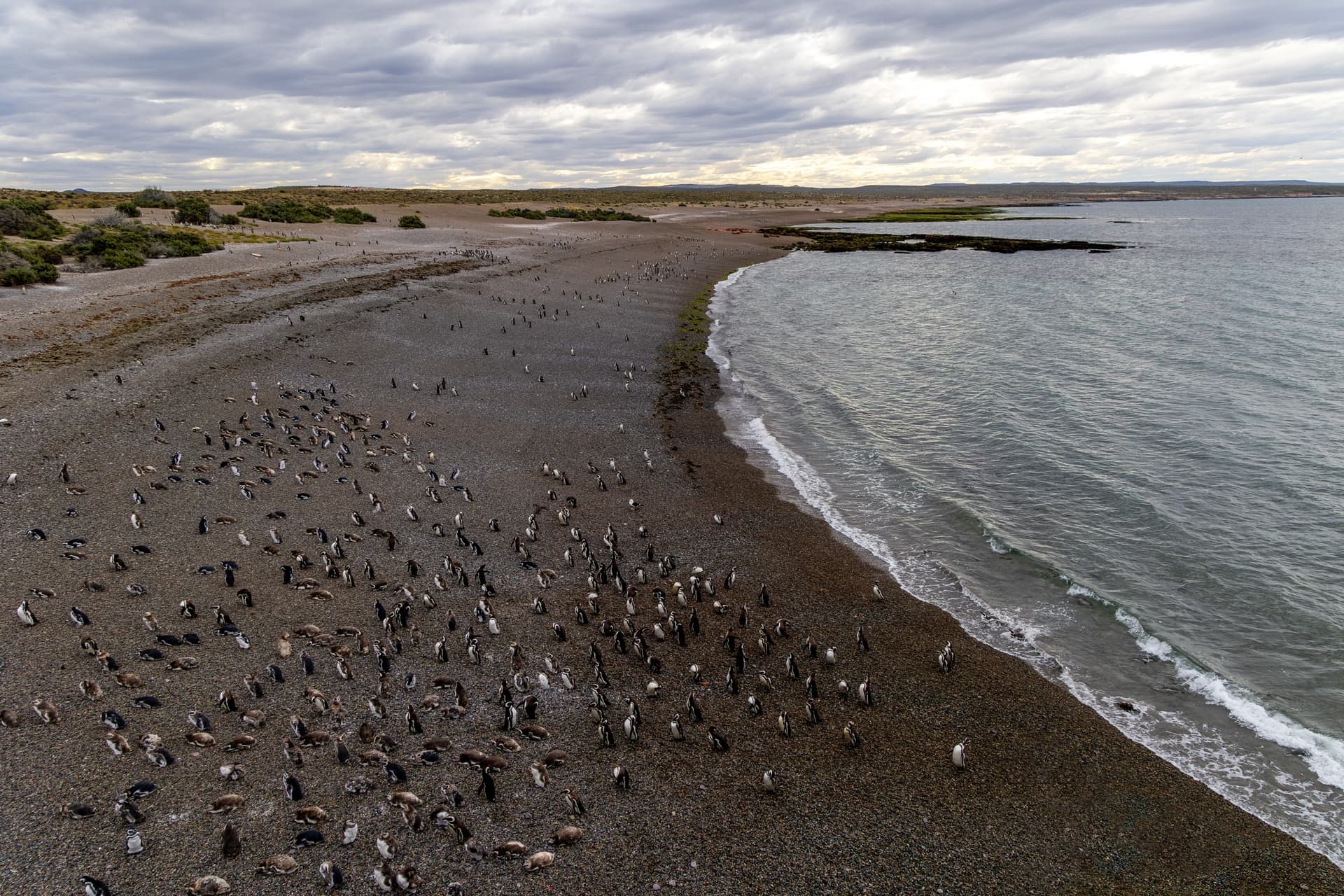 Penisola di Magellano in Cile